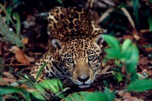 Cataguas Brasil Pousada Carrancas Exteriör bild